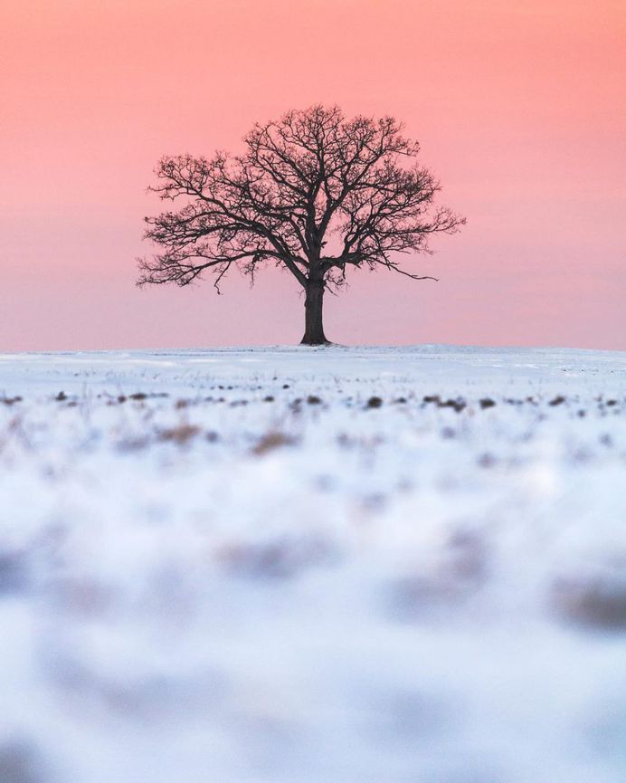Fantastic Nature Photography by Logan Brown