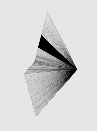 Half 2 | Flickr – Condivisione di foto! #lines #illustration #geometry #drawing