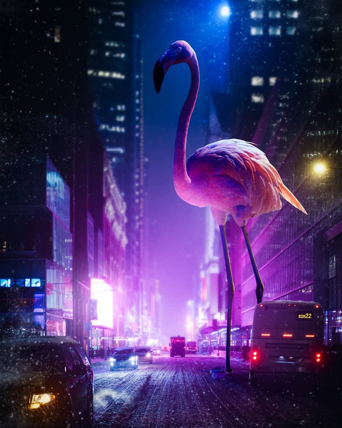 Amazing and Dreamlike Photo Manipulations by Martyna Sobalak