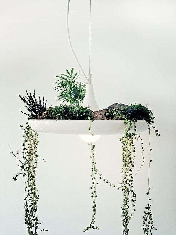 babylonlightfixture.jpg (818×1091) #succulents #hanging #light #plants