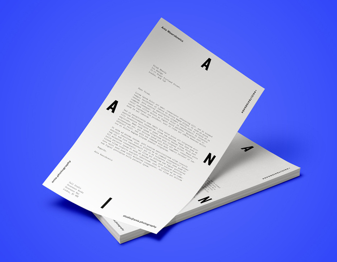 Ico - Ania cool brand layout