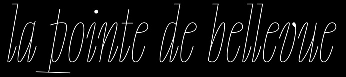 #fuckthisshitiwanttobeadolphin#type #typedesign #typography