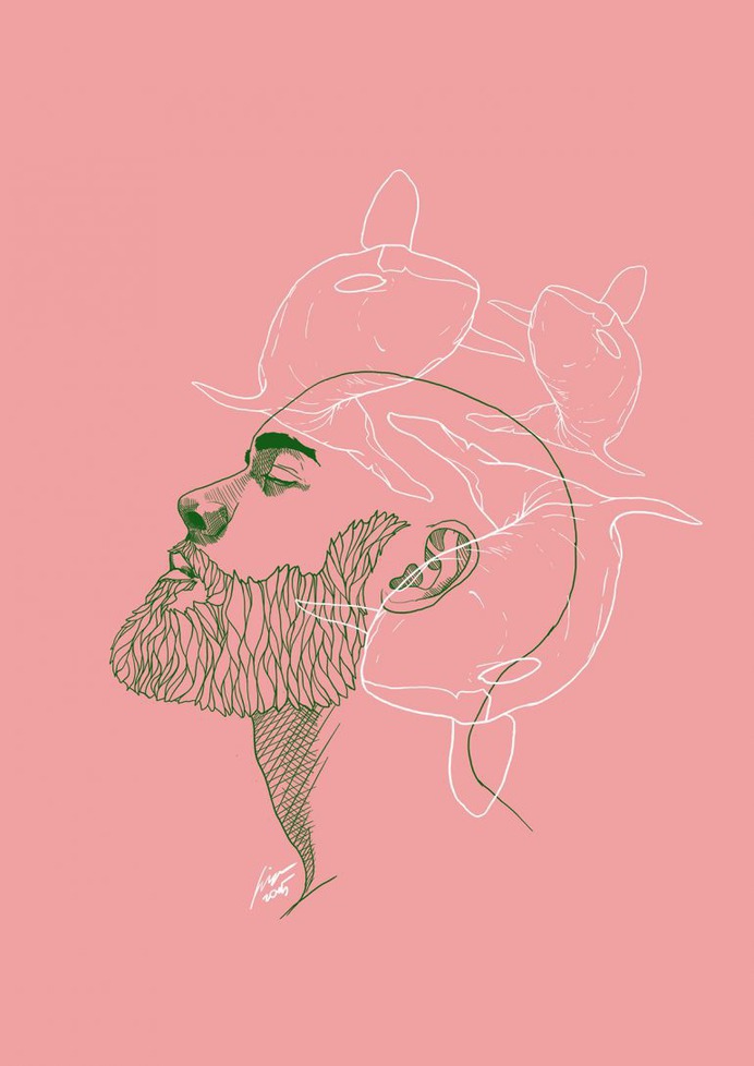 Whales – TOTEM