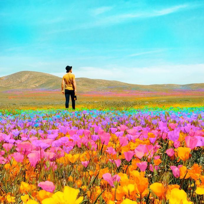 Ramzy Masri Turns The World Into a Rainbow Paradise 6 Ramzy Masri Turns The World Into a Rainbow Paradise