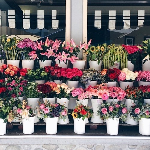 Likes | Tumblr #flowers