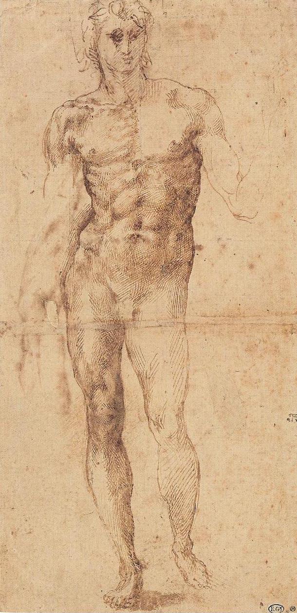 Full_Frontal_Male_Nude_Chapman_16.jpg (610×1259)