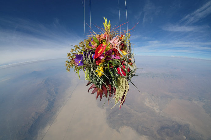 A Japanese Artist Launches Plants Into Space #clouds #space #flowers