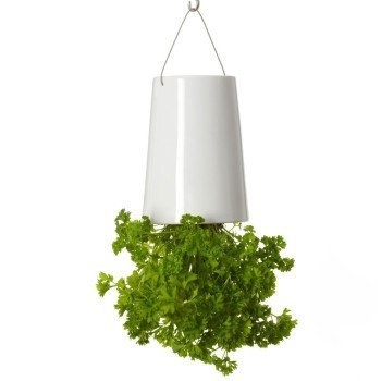Save space and do away with constant maintenance with the sky planter. #design #planter #home #product #industrial