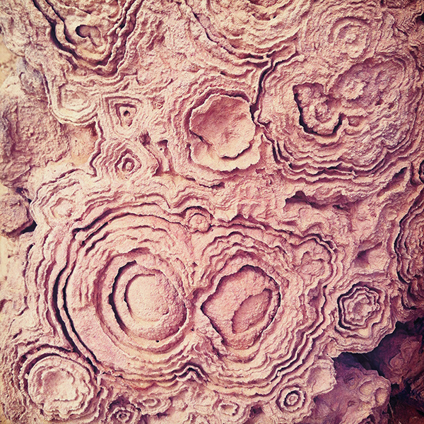 Maroc / Erg Chebbi / http://www.behance.net/cescpera #photo #maroc #stone #rose