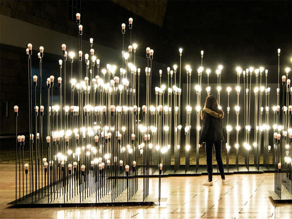 LEDscape: A Lightbulb Landscape in Portugal #bulbs #light #installation
