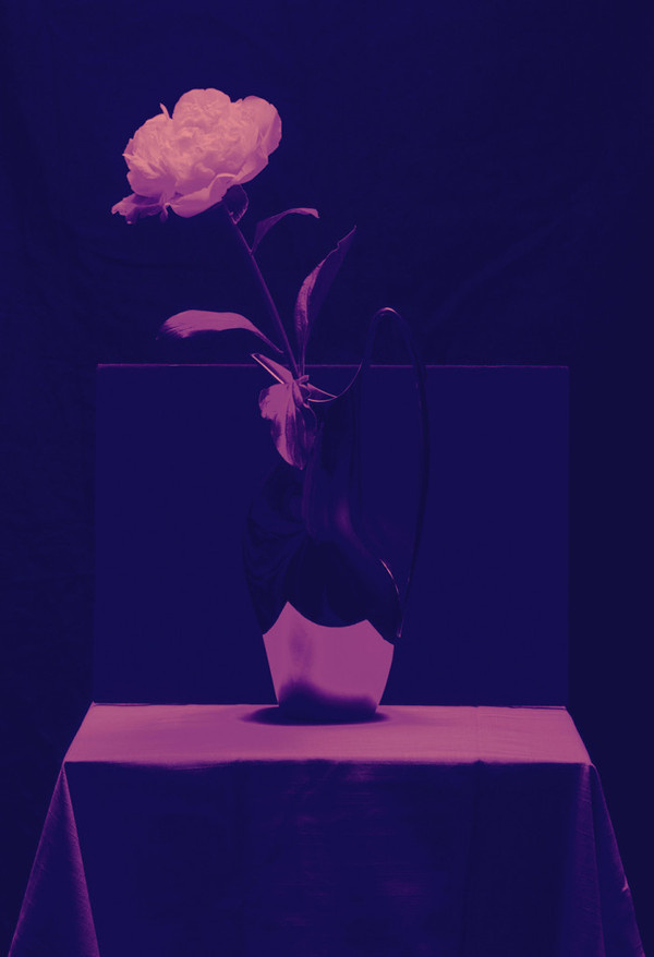 Daniel Carlsten Greetings from Bozarthfornell Architects #flower