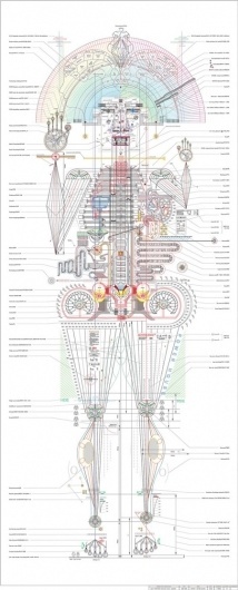 Self-portraits by Minjeong An #skeleton #lines #self #diagram #anatomy #illustration #portrait
