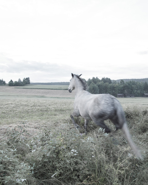 Isabella Ståhl | PICDIT