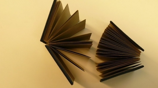Handmade Books on the Behance Network #accordian #hand #book #made