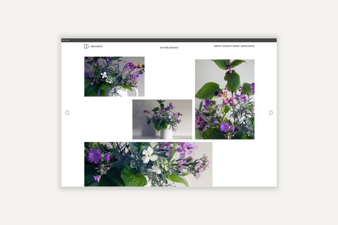 Dig Delve Website In The Garden Spinstudio