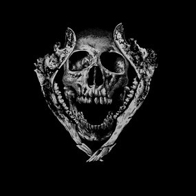 Jawz #skull #jawz #art #illustration