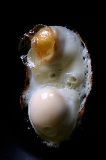 ​p​o​s​t​e​r​s​ ​:​ ​u​n​g​r​o​u​n​d​ ​g​r​a​p​h​i​c​ ​d​i​s​s​s​i​g​n #egg #poster