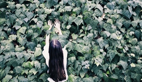 Enter the Garden | Sallie Harrison