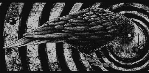 SerialThriller™ #illustration #crow