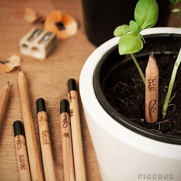 Sprout Pencil #gadget