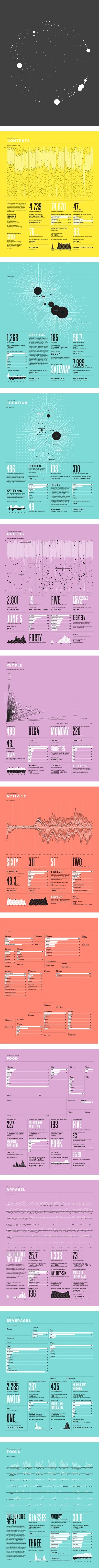 Nicholas Felton #infographic #data