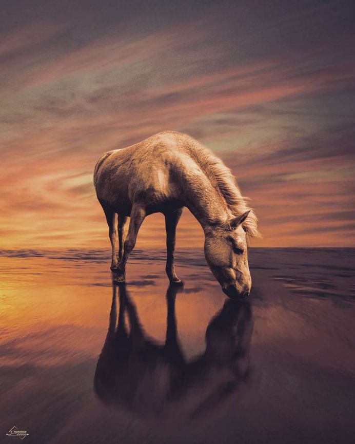Creative and Dreamlike Photo Manipulations by Dimitris Glouftsis