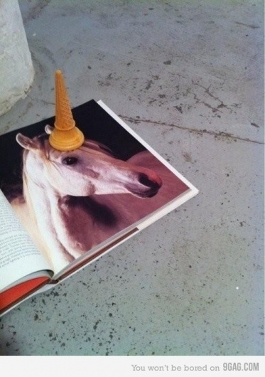 9GAG - Unicone #fun #photography #unicorn