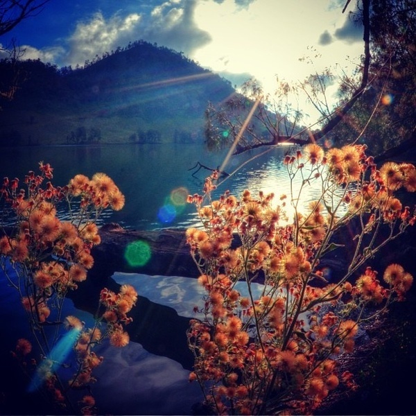 Instagram of DarisZ Cahyadi #inspiration #photography #iphoneography