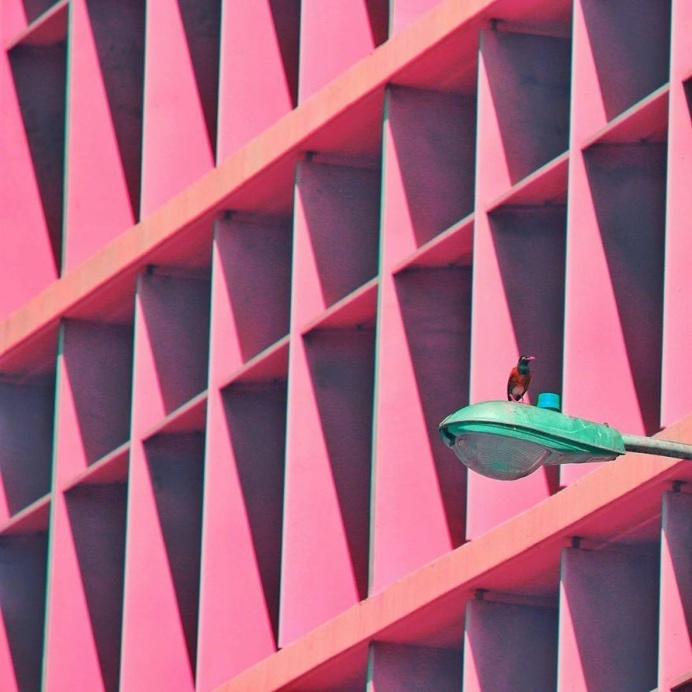 Colorful and Aesthetic Minimalist Photography by Aryton Page