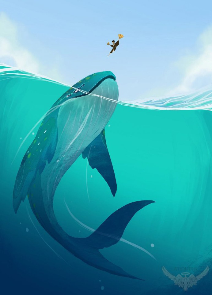 Baleine Compte by Atoupik