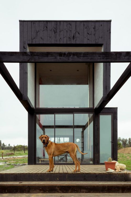 Umwelt builds house and detached guest cabin for surfers in Chile