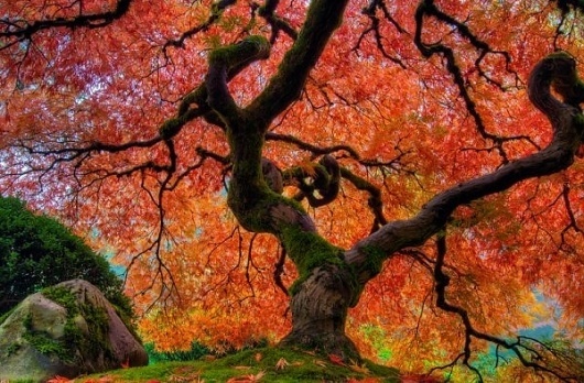 Nature Photography by David Gn » Creative Photography Blog #inspiration #photography #nature