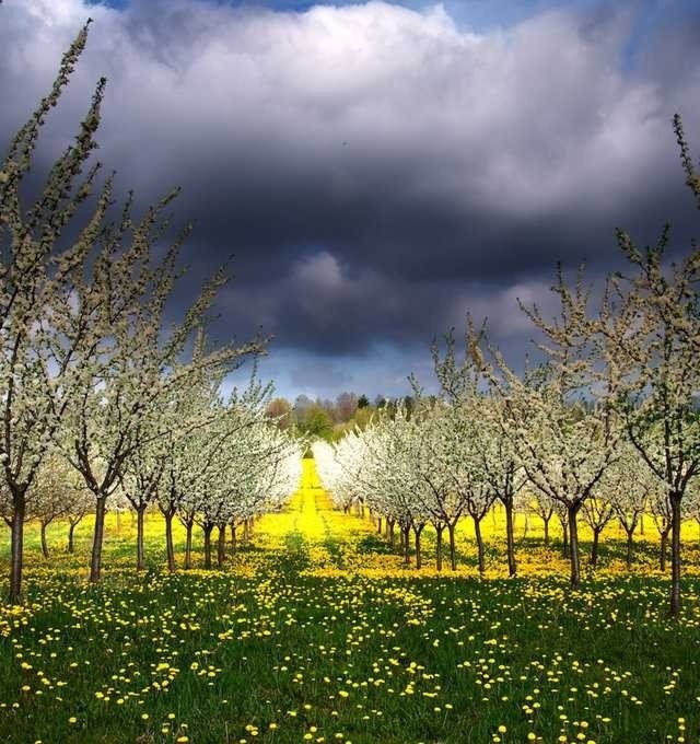 Nature Landscapes by Janek Sedlar #inspiration #photography #landscape