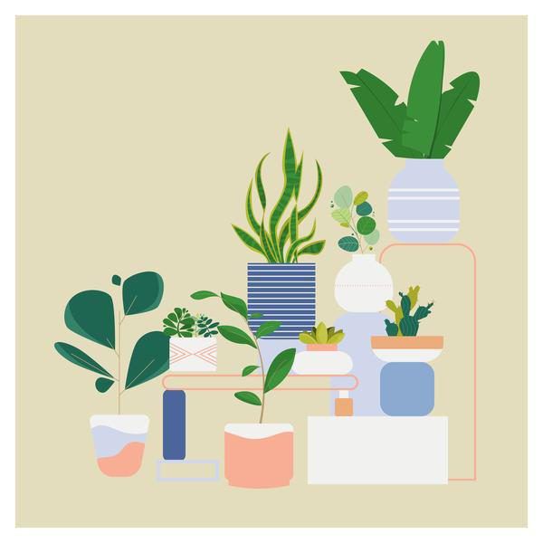 Illustrations by Naomi Bensen (6)