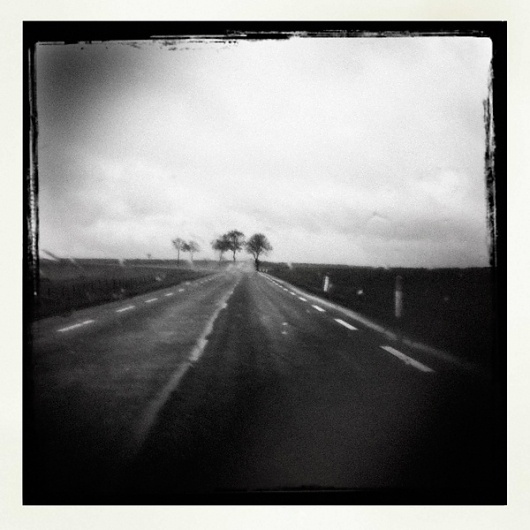 Sans Titre, photography by Sylvain Lagarde #road #tree