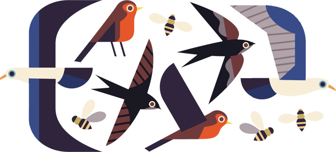 illustration