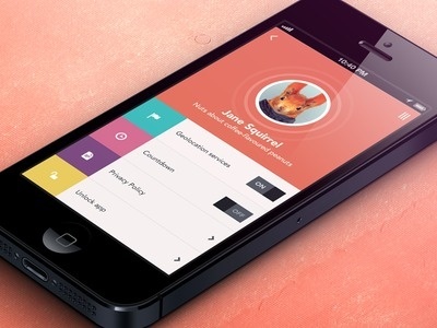 Squirrel Settings #ui