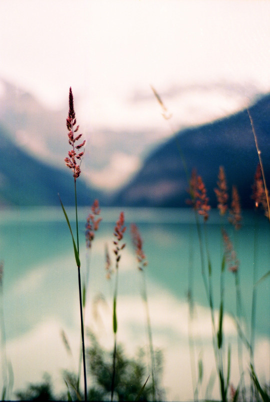 nature, lake, mountain