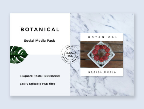 UI8 — Products — Botanical Social Media Pack