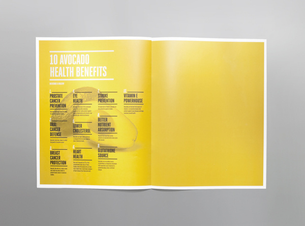 Avocado Zapotlan Brochure #avocado #mexico #mno #editorial #brochure