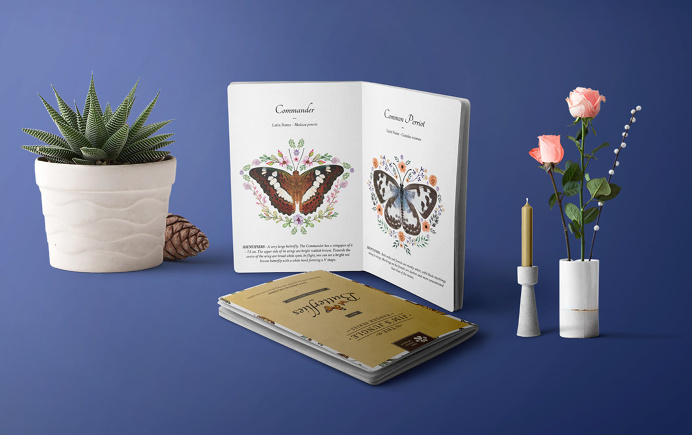 Jim's Jungle Retreat - Butterfly Brochure on Behance