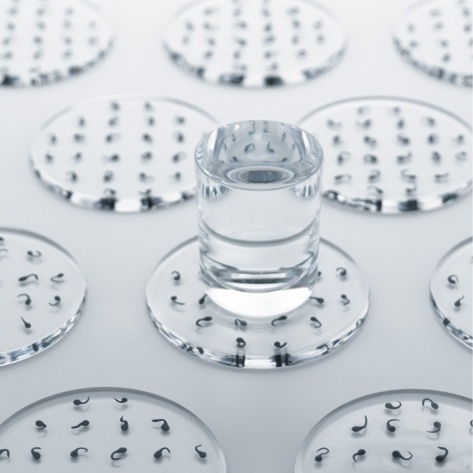 toildrops » tadpole coasters #water #design #glass #product #frog