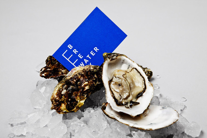 Logo and business card with bright blue spot ink treatment for Swedish marine cargo logistics company Breakwater designed by Lundgren+Lindqv #branidng