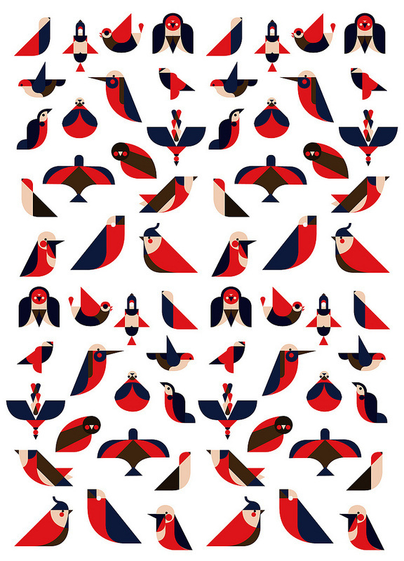 Argijale - Illo Zoo - the illustration agency #birds #illustration