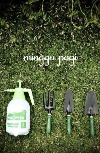 523369_10150743122825980_709525979_9652249_1448560356_n.jpg (474×720) #garden #park