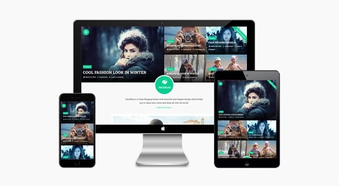 FaceBlog : Elegant Blogging WordPress Theme