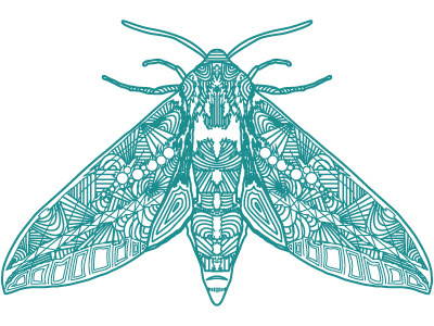 Cold_moth #moth #drawing #illustration