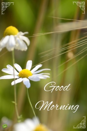 Get on the Right Track - Good Morning