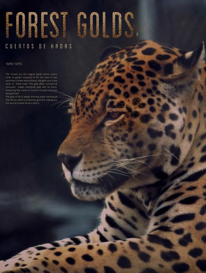 #wild #jaguar #big cat #forest #nature #life #yellow