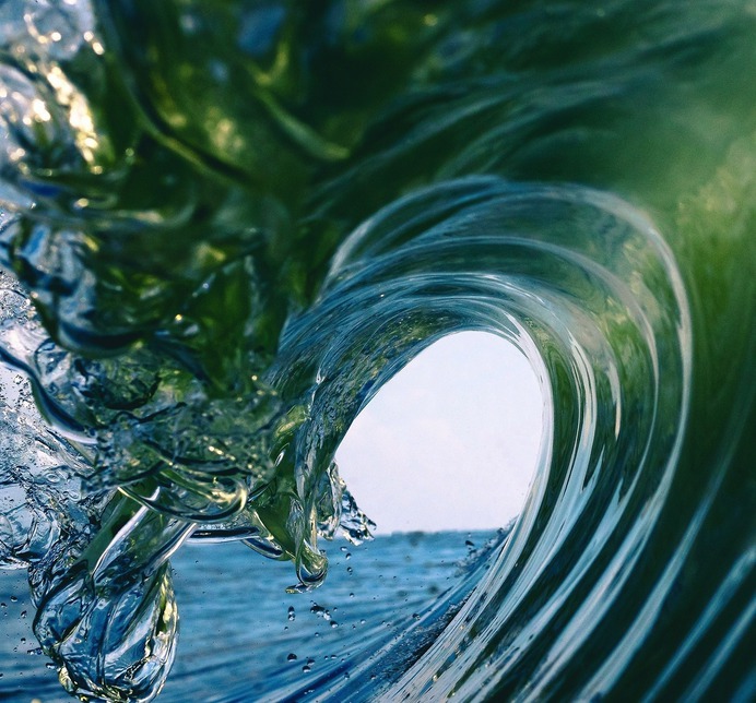 The Wave